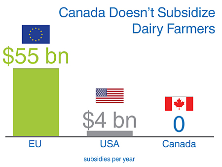 Dairy Program Subsidies