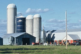 Supply Management