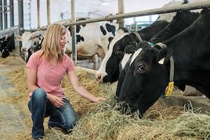 animal-care-feeding-cow