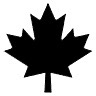 maple