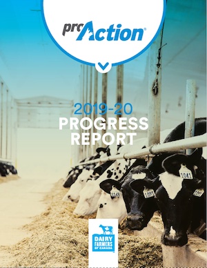 our-progress-2019-20-progress-report