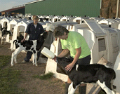 Individual hutches